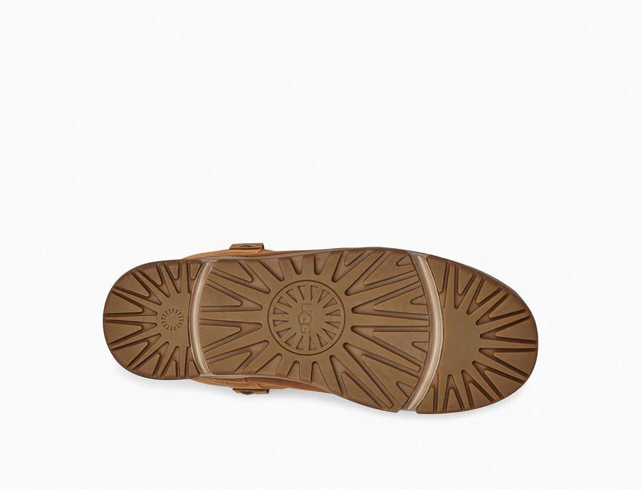 Classic Weather Short