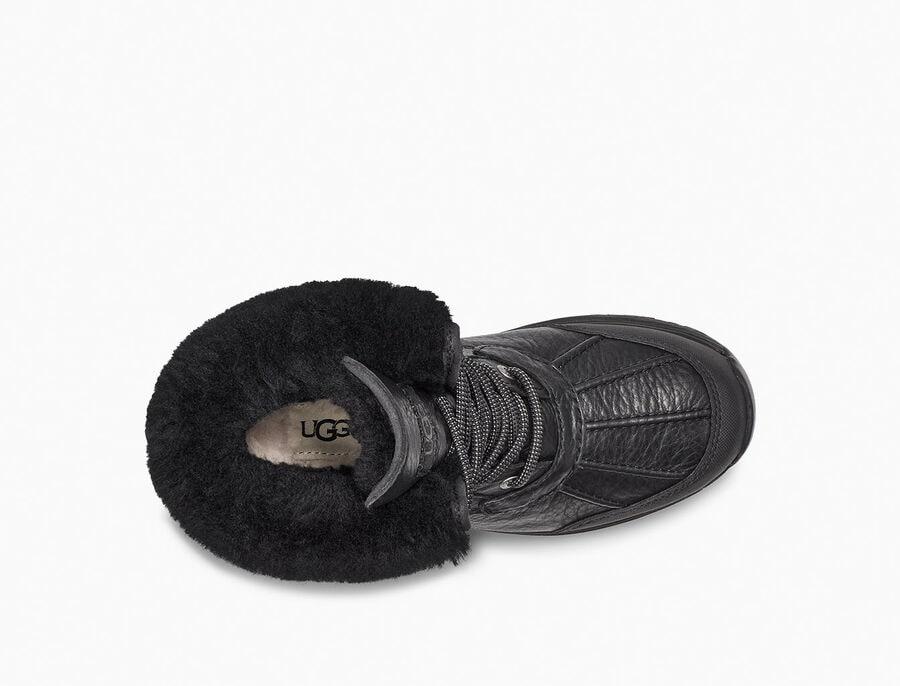 Adirondack III Snow Leopard