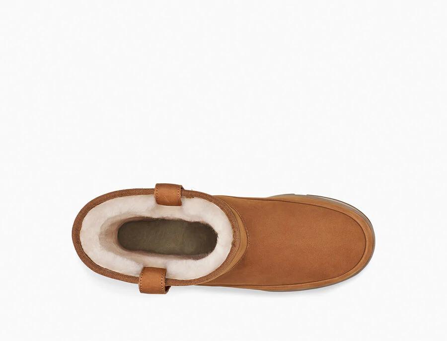 Classic Weather Short