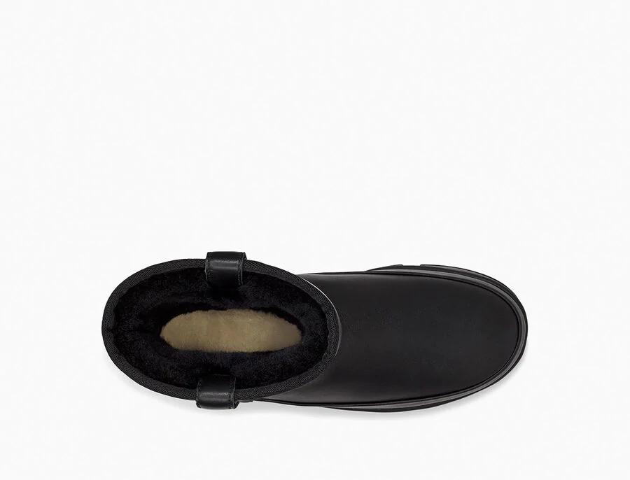 Classic Weather Short