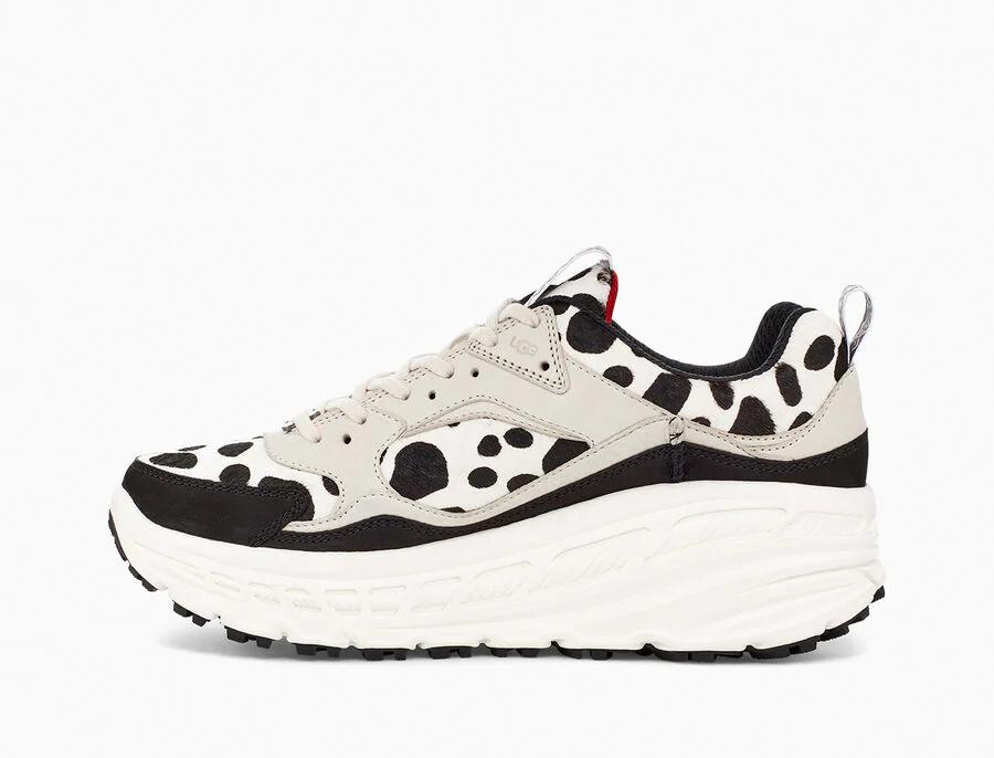 CA805 Dalmatian Print