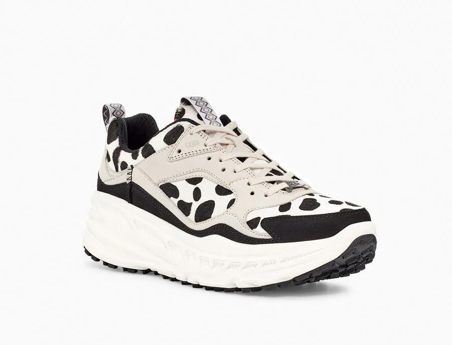 CA805 Dalmatian Print