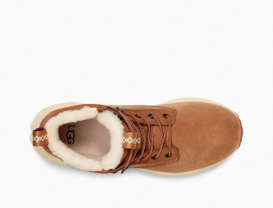 Miwo Utility Weather