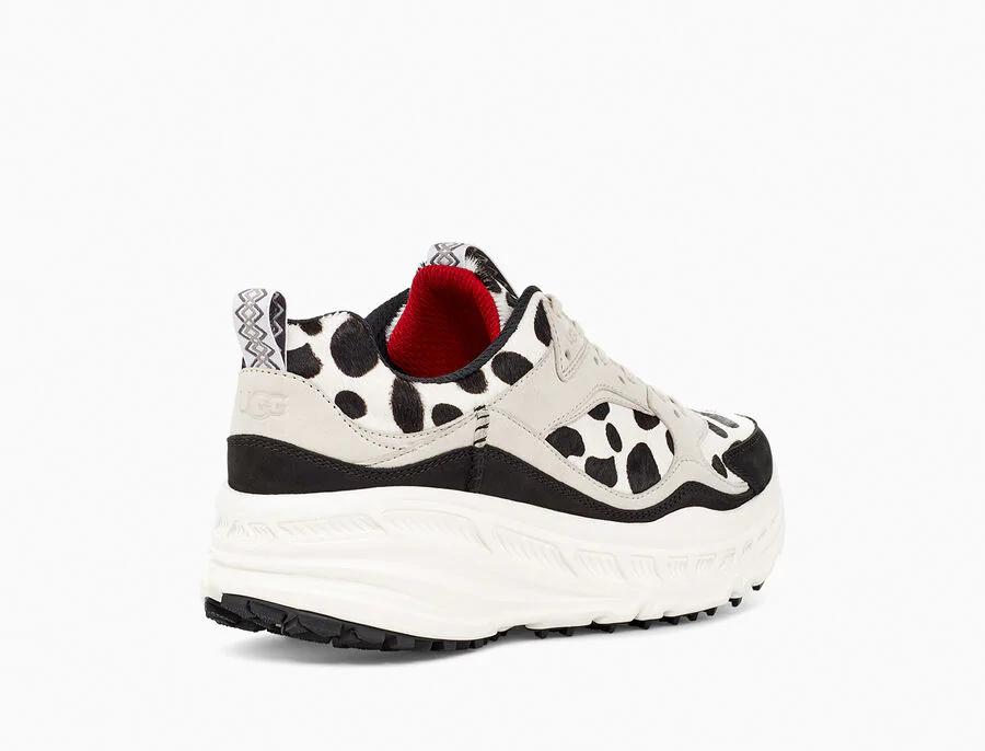 CA805 Dalmatian Print