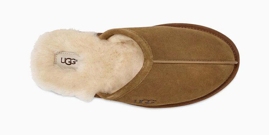 Scuff Slipper
