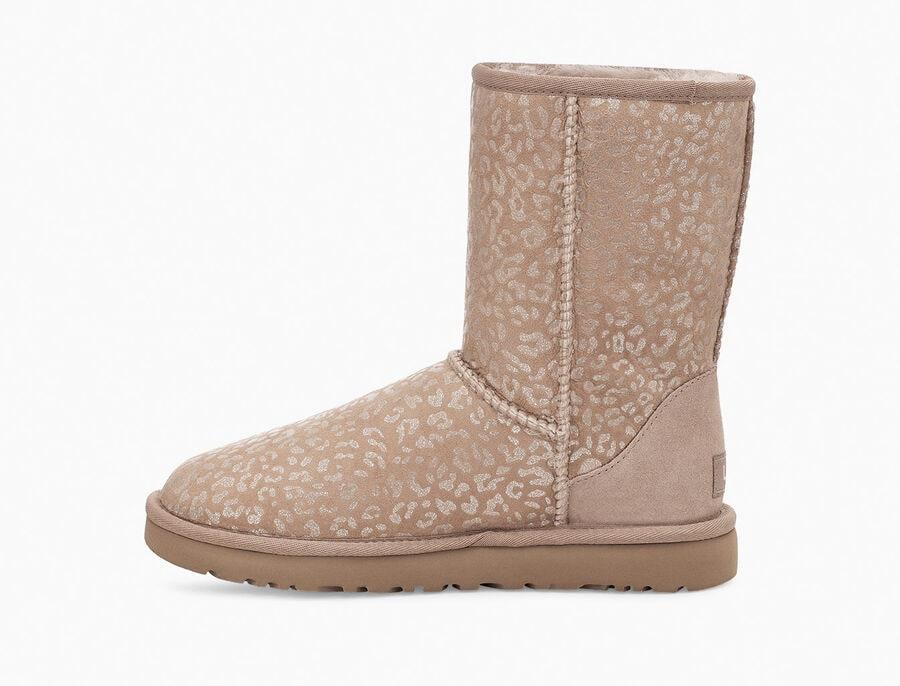 Classic Short Snow Leopard