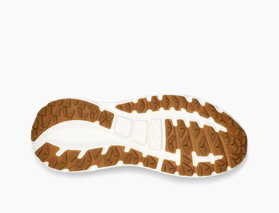 CA805 X Yokoo Wonderland