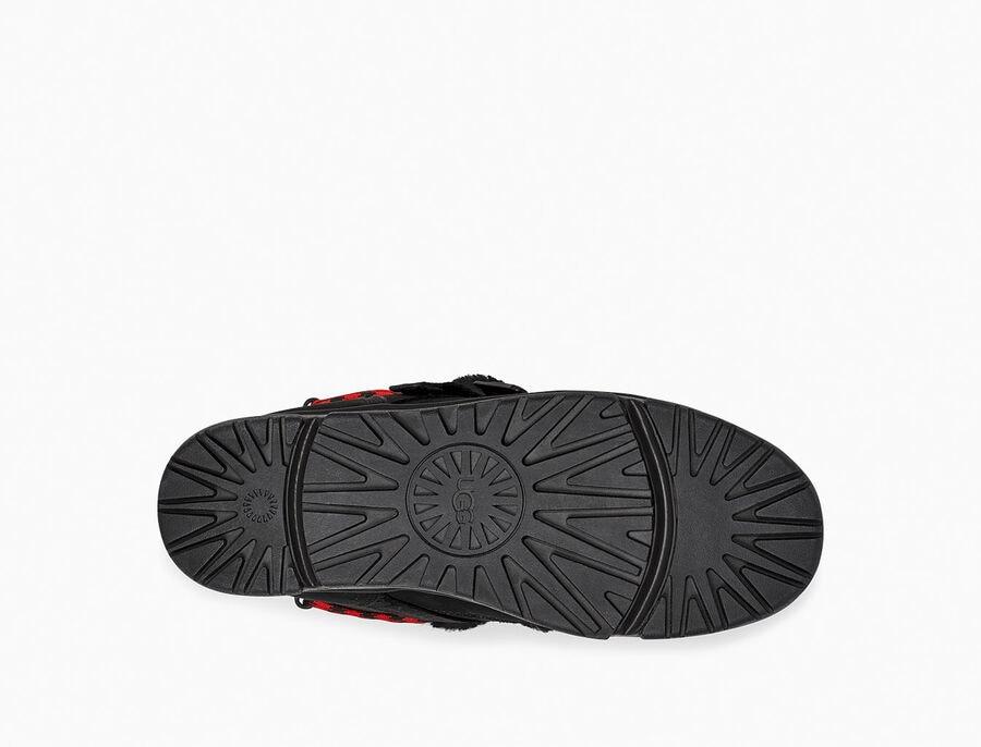 Classic Weather Hiker