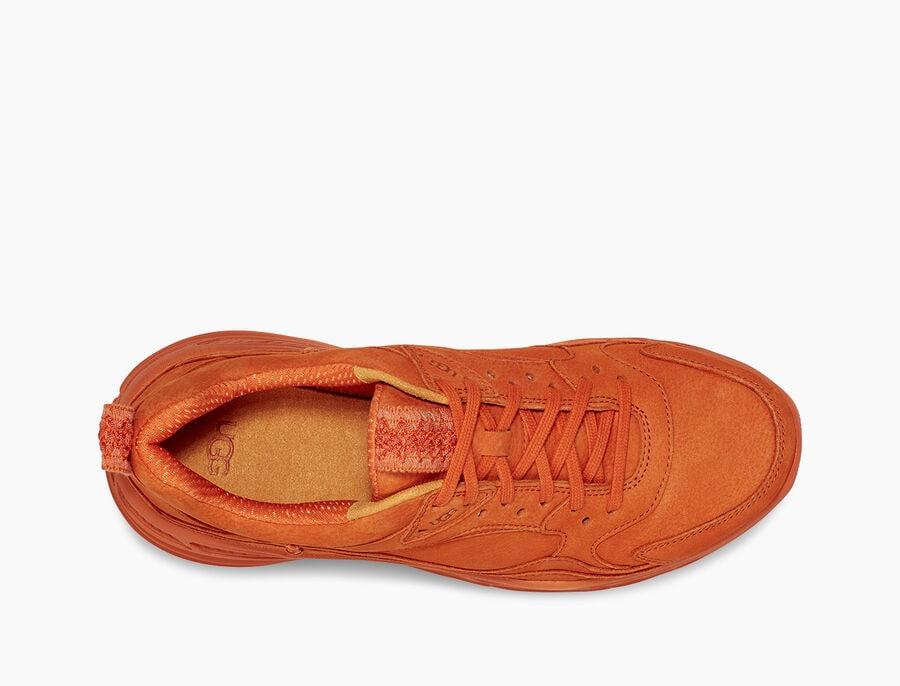 CA805 x Lace Low Sunset