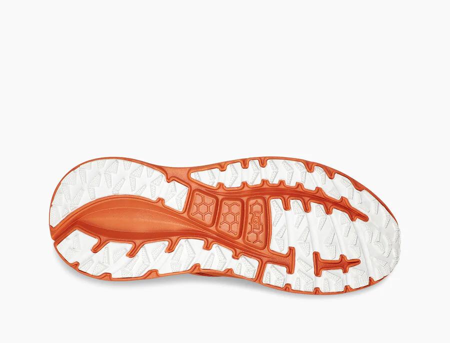 CA805 x Lace Low Sunset