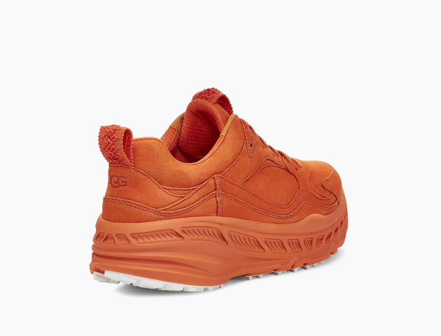 CA805 x Lace Low Sunset