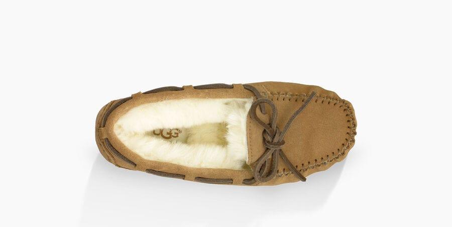 Dakota Slipper