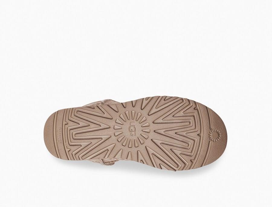 Classic Short Snow Leopard