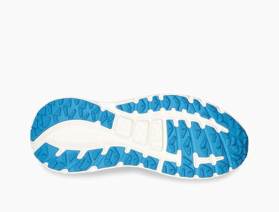 CA805 X Yokoo Wonderland