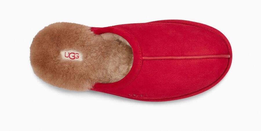 Scuff Slipper