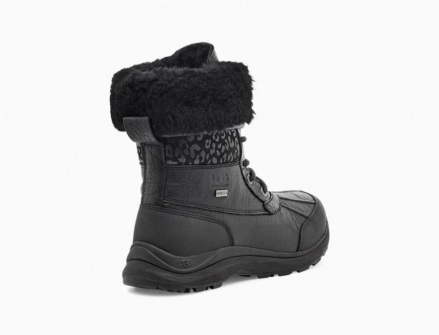 Adirondack III Snow Leopard