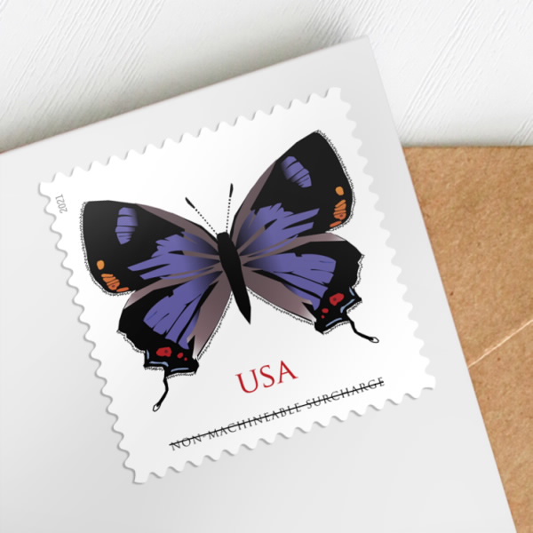California Dogface Butterfly USPS 2 Ounce Postage Stamp 2 Sheets of 20 US  Forever Postal First Class Non-Machineable Wedding Celebration Anniversary  Flowers Party (40 Stamps) 