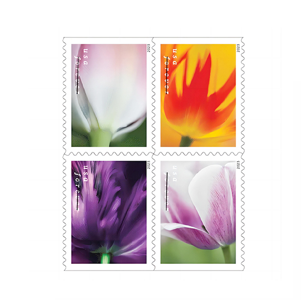 Tulip Blossoms 2023 USPS Forever Stamps Forever