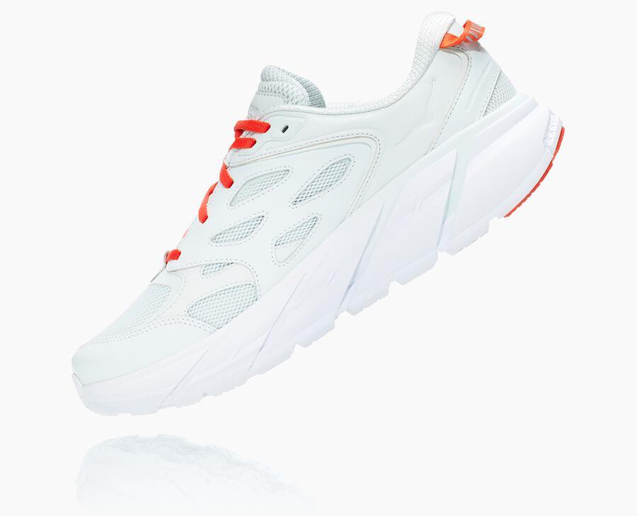 All Gender Clifton L