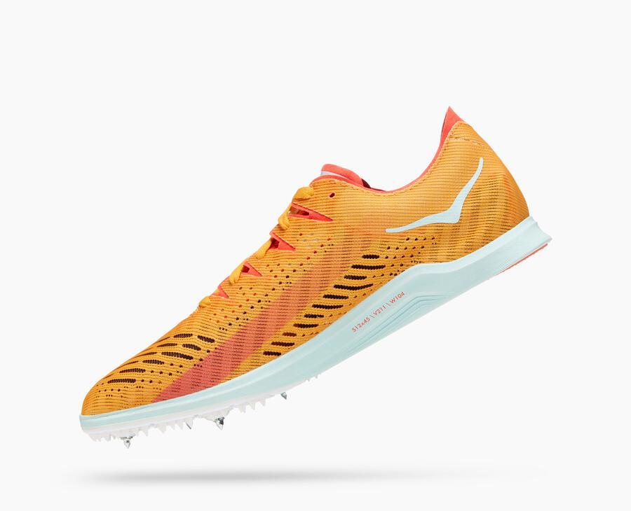 All Gender Cielo X LD