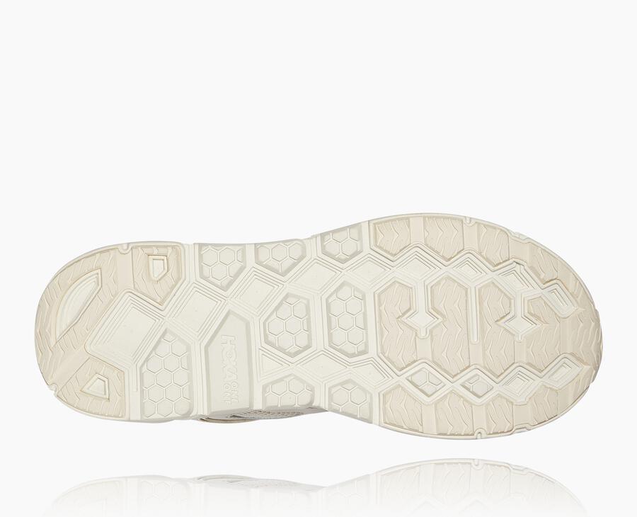 All Gender Clifton L