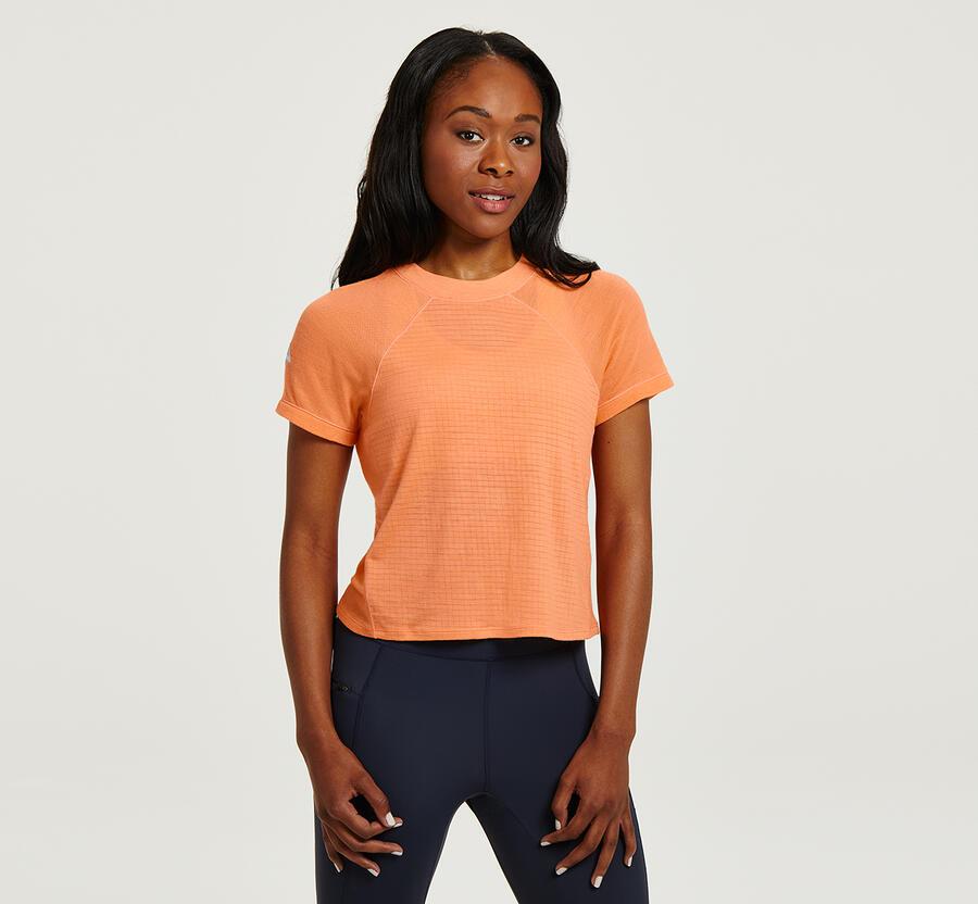 Women's Merino Blend Short Sleeve