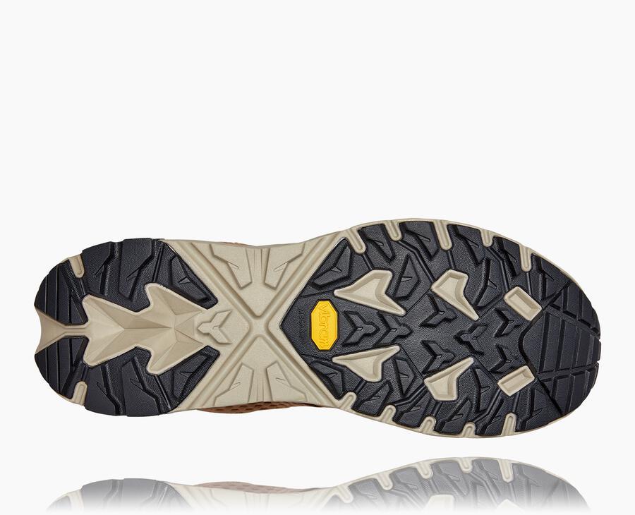 Men's Anacapa Low GORE-TEX