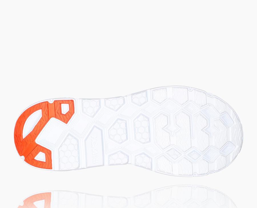 All Gender Clifton L