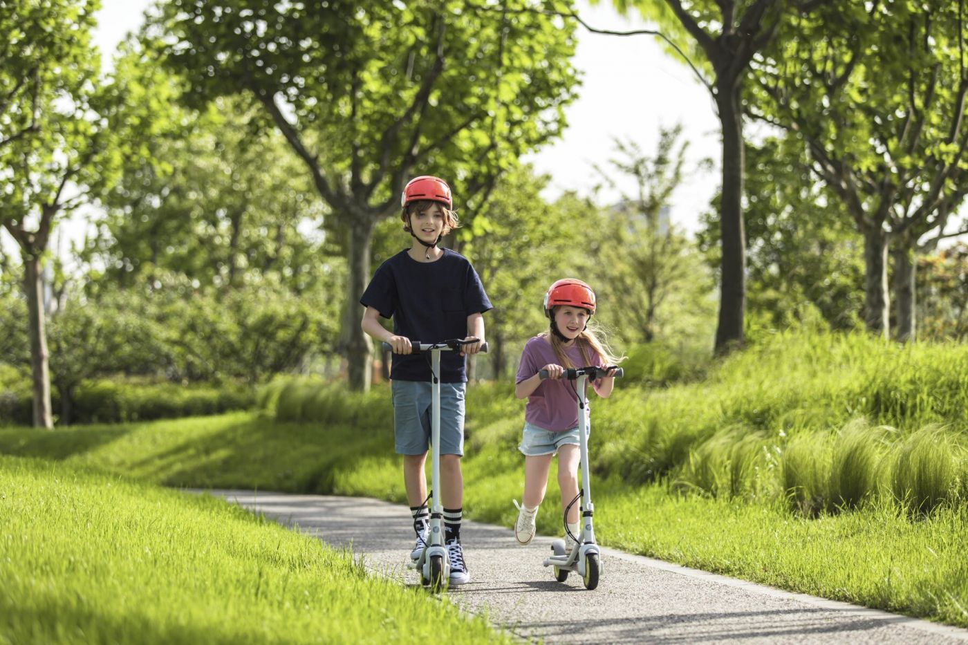 Ninebot eKickScooter ZING C8 Powered by Segway