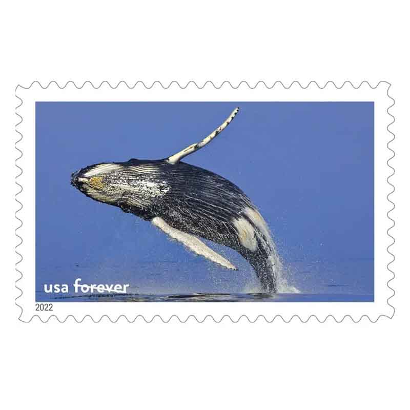 National Marine Sanctuaries Forever®Stamp Store®