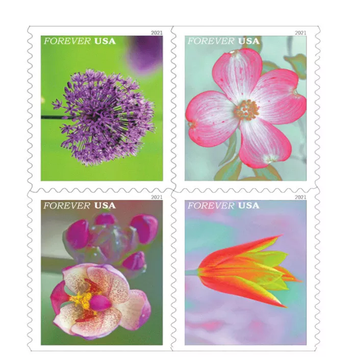 USPS Garden Beauty Forever Postage Stamps 5 Books of 20 US Postal First Class Wedding