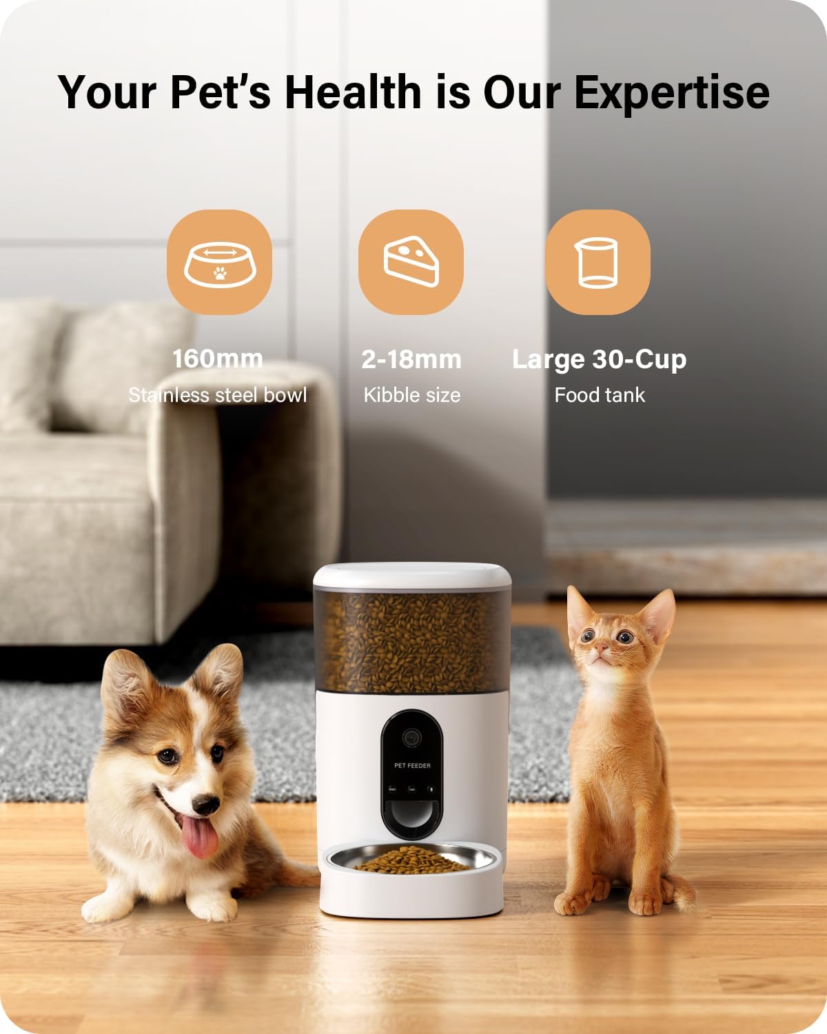 Hicreate Automatic Cat Food Dispenser with Camera