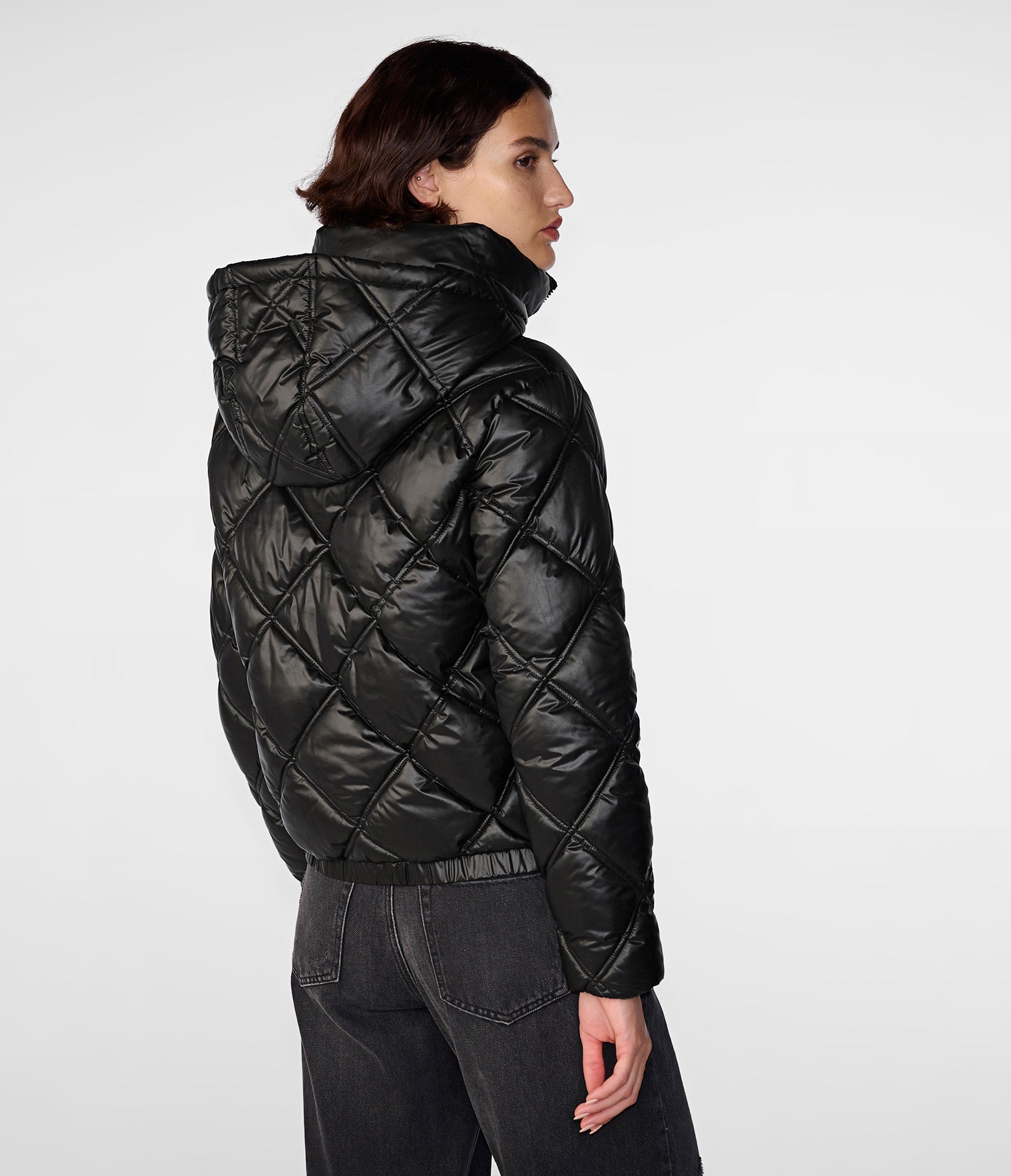 Short Zip Puffer With Attached Hood