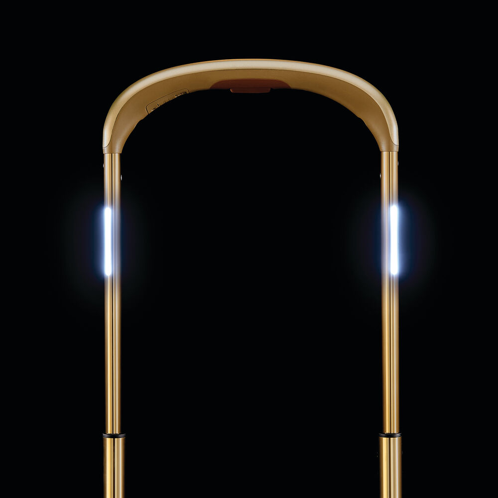 Stryde 111 Large Glider