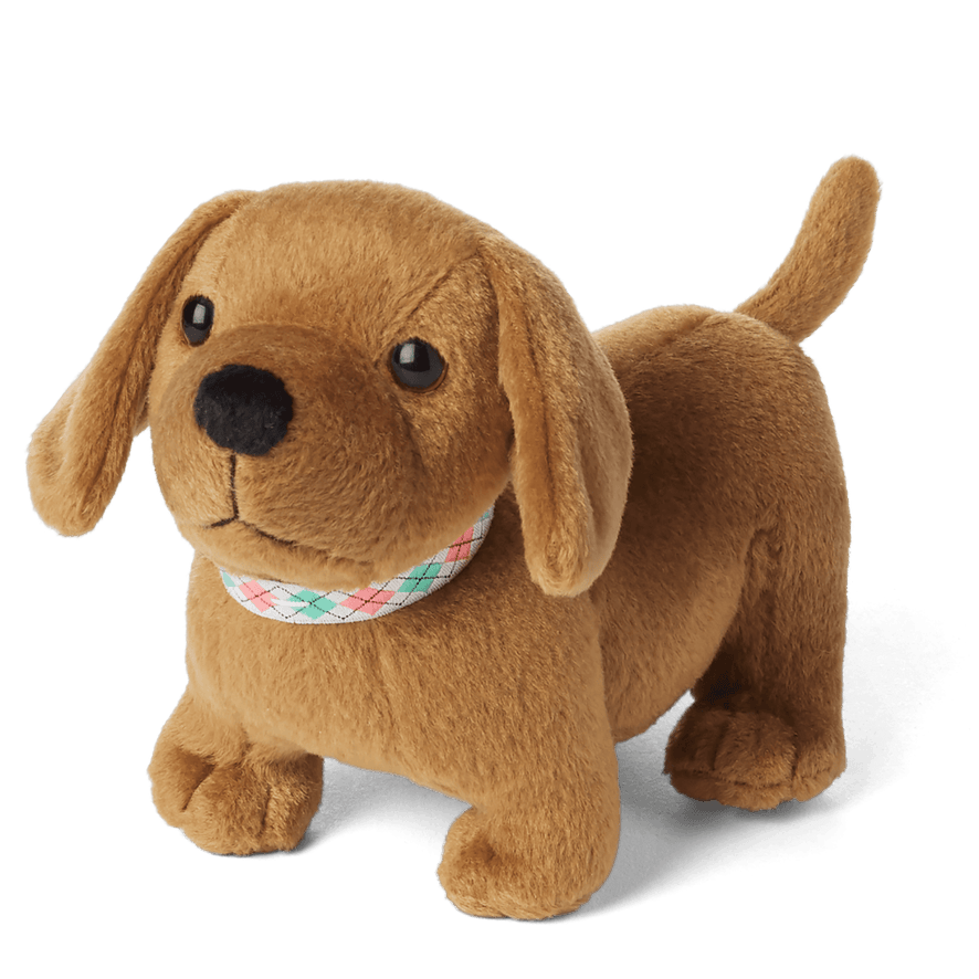 Maryellen's™ Dachshund Pajamas & Dog