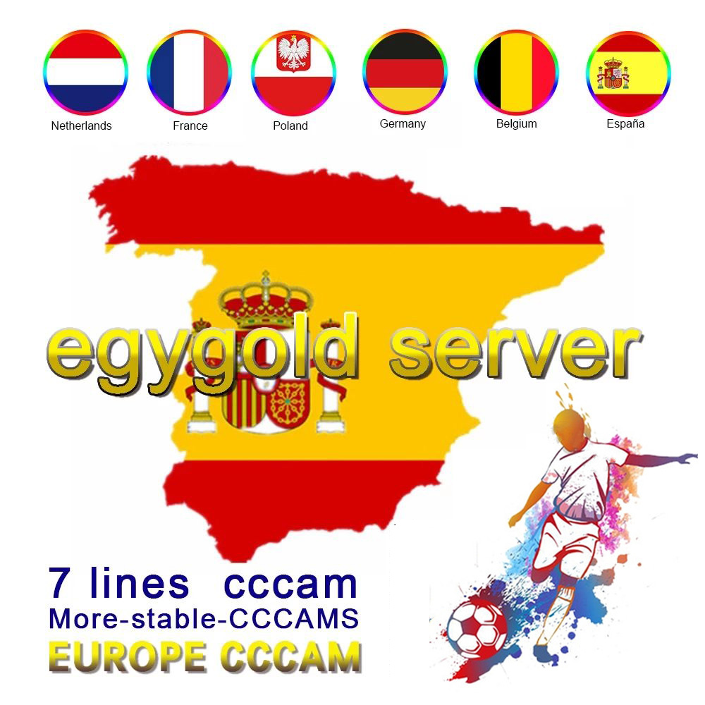 Egygold Cccam Clines para Europa España Portugal Polonia Oscam Alemania 7  líneas de receptor de TV por satélite - China Cccam, Cccams Cccam