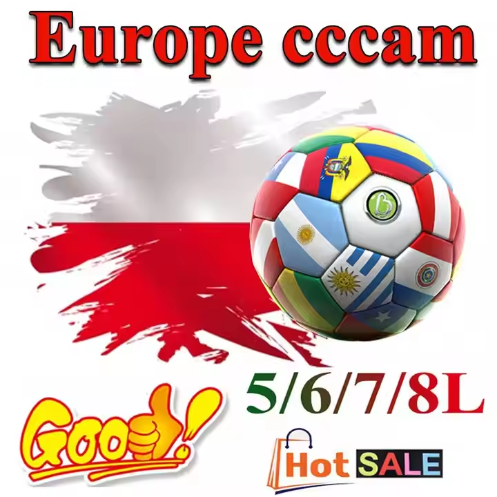 Stable Europe cccam clines 3-8 lines for Poland Germany Portugal Slovakia Cape Verde cccam clines support reseller panel