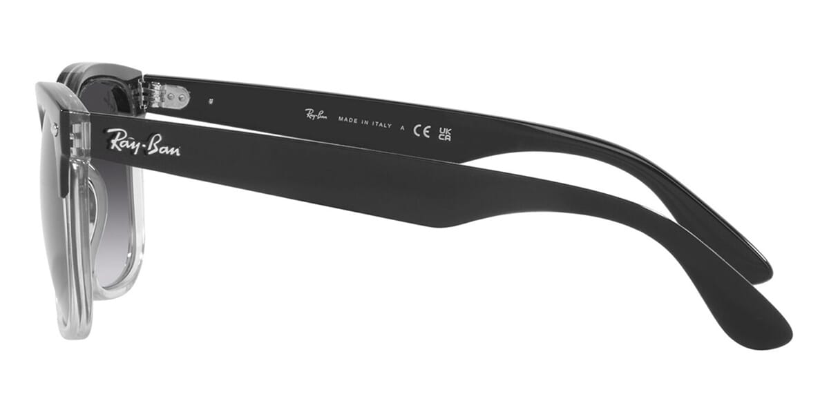 Ray-Ban Steve RB 4487 6630/8G
