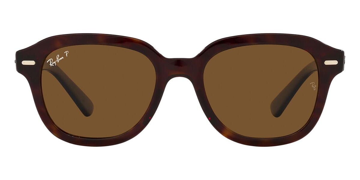 Ray-Ban Erik RB 4398 902/57 Polarised
