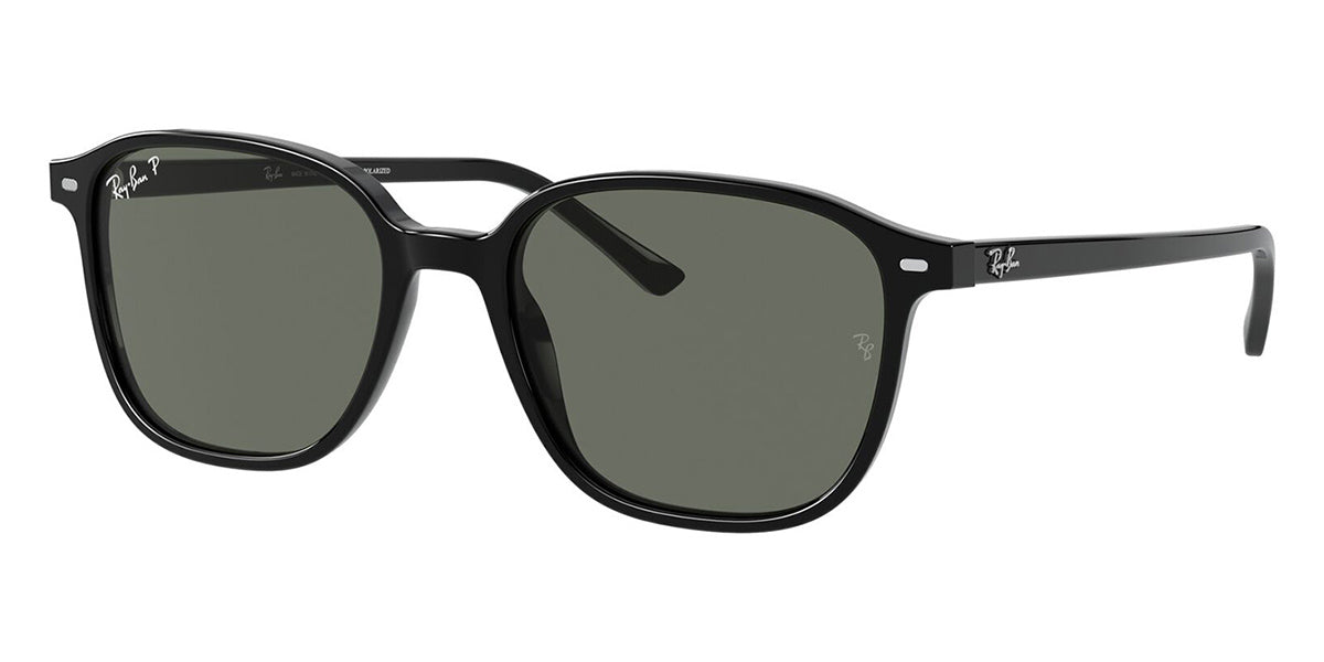 Ray-Ban Leonard RB 2193 901/58 Polarised