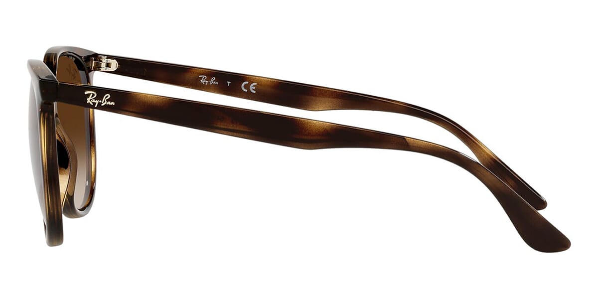 Ray-Ban RB 4378 710/13