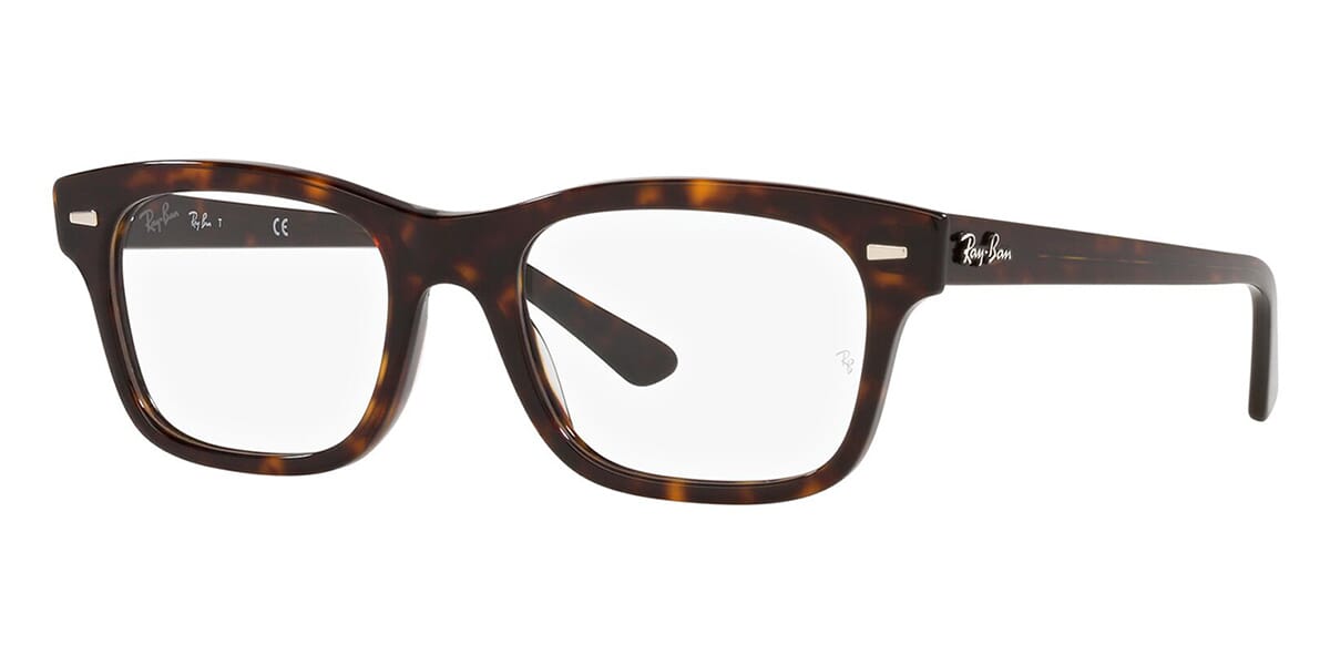Ray-Ban Mr Burbank RB 5383 2012