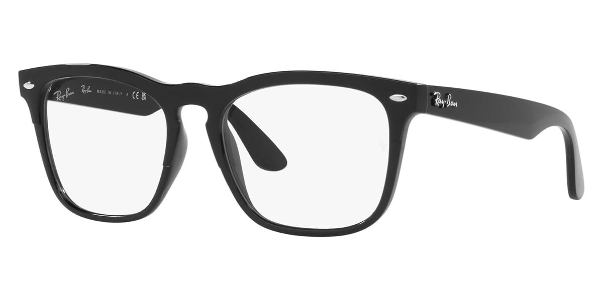 Ray-Ban Steve RB 4487V 8192