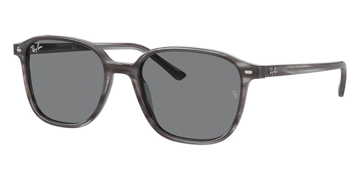 Ray-Ban Leonard RB 2193 1314/B1