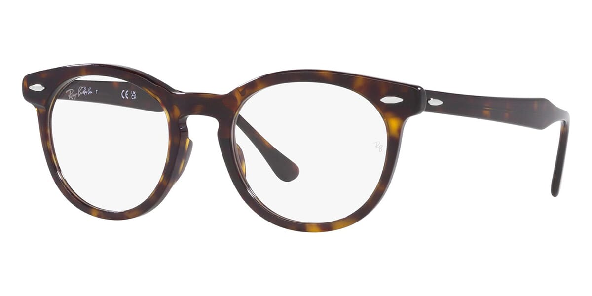Ray-Ban EagleEye RB 5598 2012