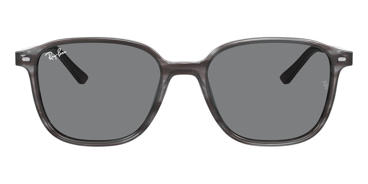 Ray-Ban Leonard RB 2193 1314/B1