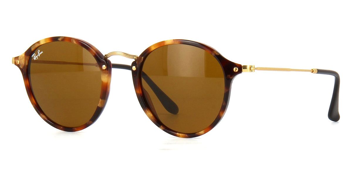 Ray-Ban Icons Round RB 2447 1160