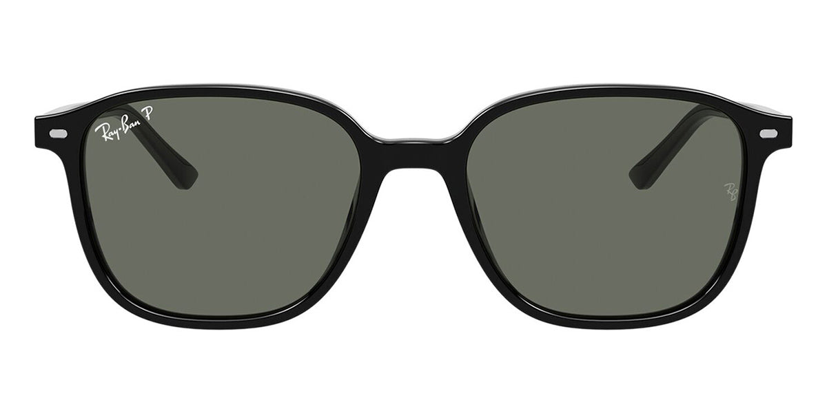 Ray-Ban Leonard RB 2193 901/58 Polarised