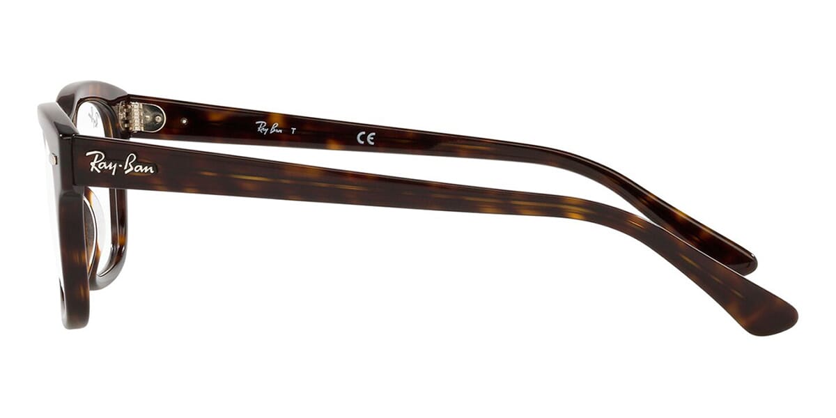 Ray-Ban Mr Burbank RB 5383 2012