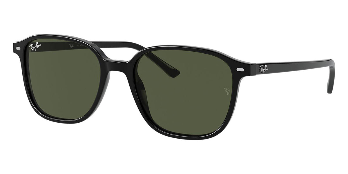 Ray-Ban Leonard RB 2193 901/31